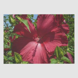 Papier Mousseline Hibiscus Flower and Blue Sky
