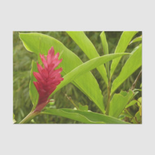 Papier Mousseline Hibiscus rose Fleur tropicale