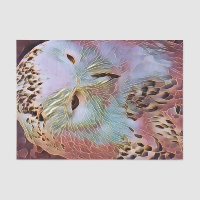 PAPIER MOUSSELINE HIBOU (Recto)