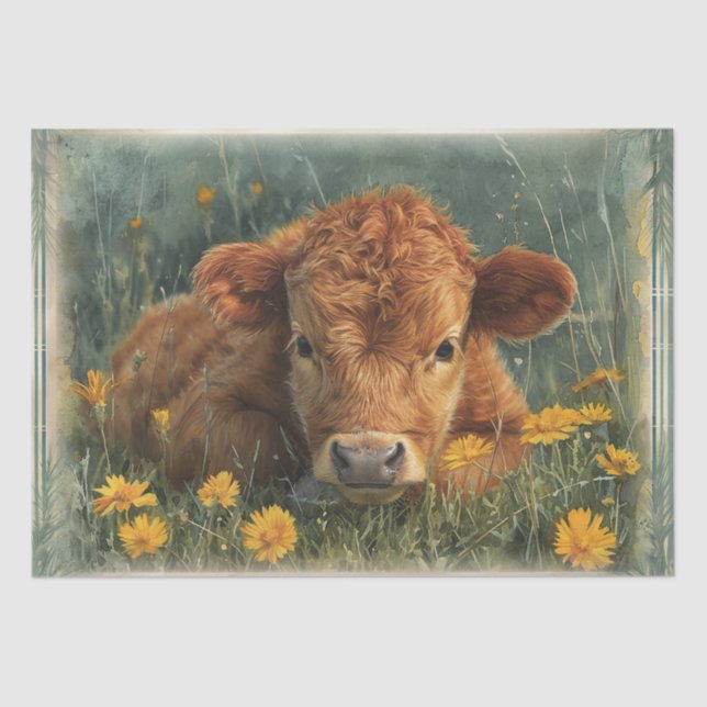 Papier Mousseline Highland Baby Cow (Recto)
