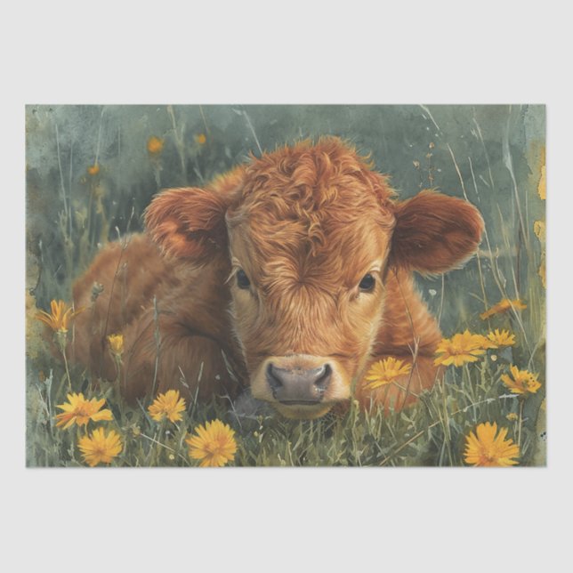 Papier Mousseline Highland Baby Cow (Recto)