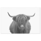 Highland Cow Scotland Russe Noir Blanc