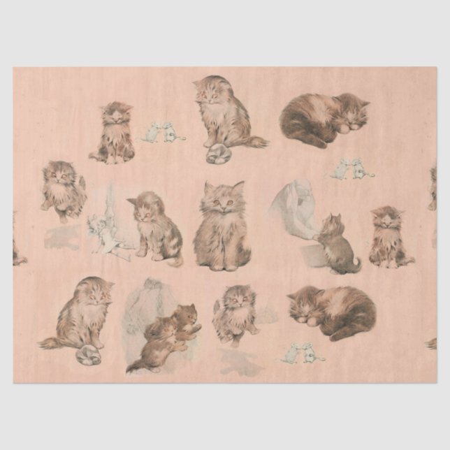 PAPIER MOUSSELINE HISTOIRES DE CHAT DE CUISINE AMUSANTE EN ROSE (Recto)