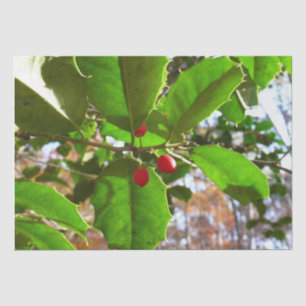 Papier Mousseline Holly Feuilles II Vacances Nature Botanique