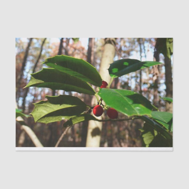 Papier Mousseline Holly Leaves (Recto)