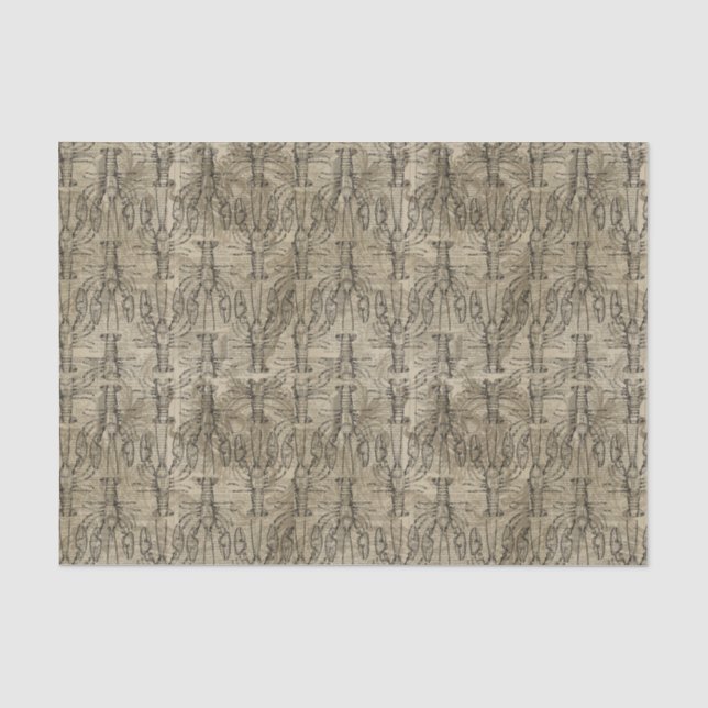 Papier Mousseline Homard vintage (Recto)
