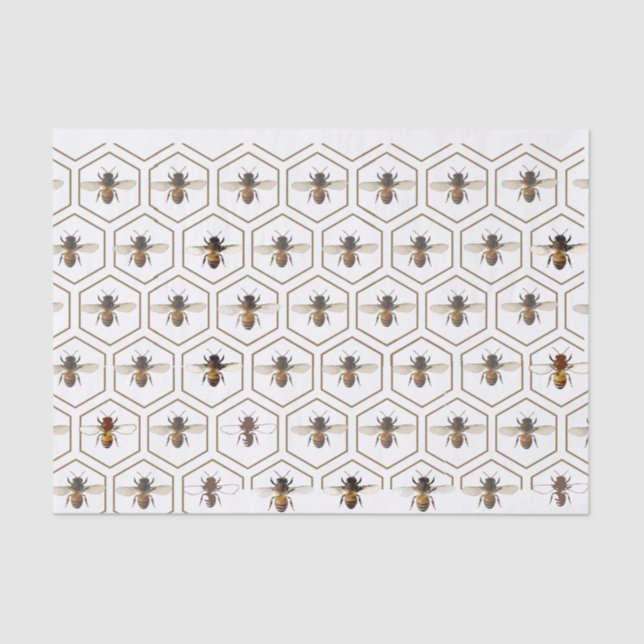 Papier Mousseline Honeypeb Bee Bee Bee Beekeeper Tissu Paper (Recto)