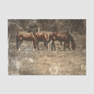 Papier Mousseline Horse Farm Pays Vintage Russe Ouest