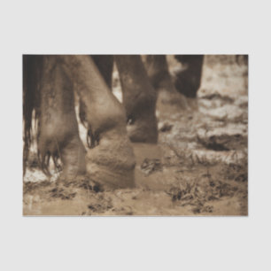 Papier Mousseline Horse Feed Western Vintage Sepia Brown Rustic