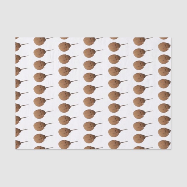 Papier Mousseline Horseshoe crab (Recto)