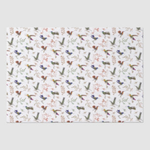 Papier Mousseline Hummingbirds Papier d'enveloppement d'oiseaux colo