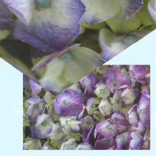 Papier Mousseline Hydrangea Botanique Floral Photographique Violet