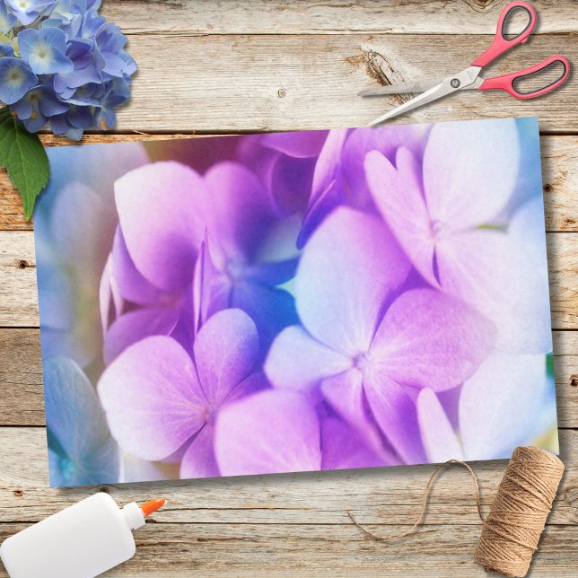Papier Mousseline Hydrangea Violet Coloré (Créateur téléchargé)