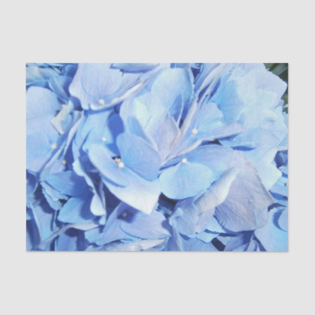 Papier Mousseline Hydrangée bleu clair (Recto)