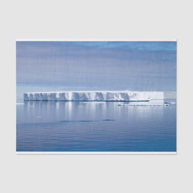 Papier Mousseline iceberg flottant (Recto)