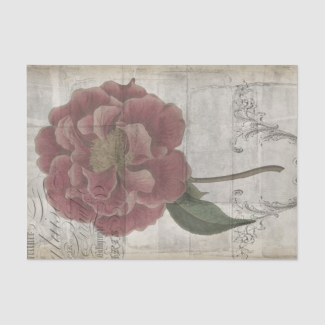 Papier Mousseline III floral français (Recto)