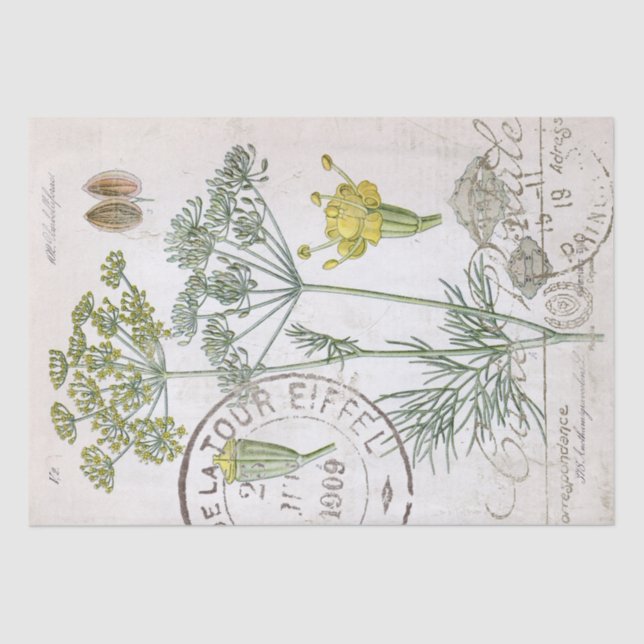 Papier Mousseline Illustration botanique Dill French Postmark Craft (Recto)