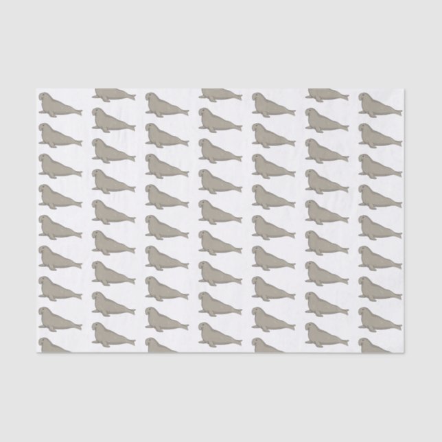 Papier Mousseline Illustration de dessin de phoque éléphant (Recto)