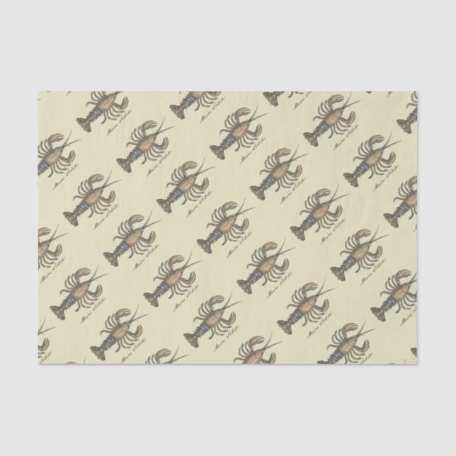 Papier Mousseline Illustration de homard, fruits de mer du Maine (Recto)