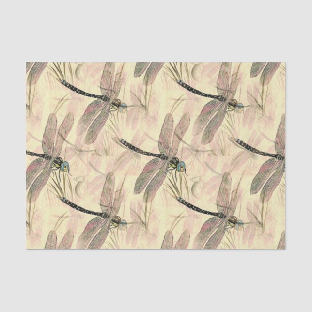 Papier Mousseline Illustration de la couleur des libellules (Recto)
