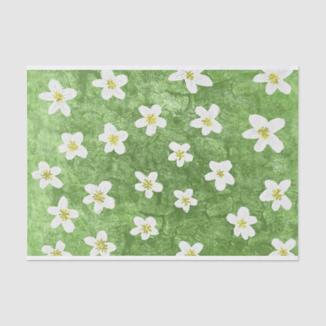 Papier Mousseline Illustration de la mousse verte et de la marguerit (Recto)