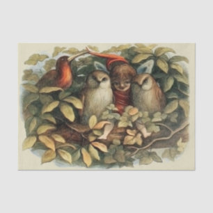 Papier Mousseline Illustration de la nature des hiboux et des fées d
