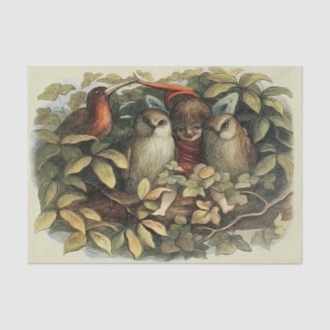 Papier Mousseline Illustration de la nature des hiboux et des fées d (Recto)