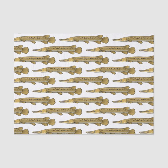 Papier Mousseline Illustration de l'alligator garfish (Recto)