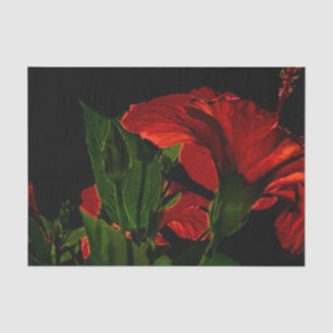 Papier Mousseline Illustration de l'Hibiscus à fort contraste