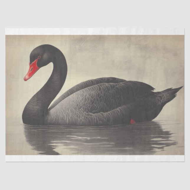 Papier Mousseline Illustration de l'oiseau de décolpage du cygne noi (Recto)