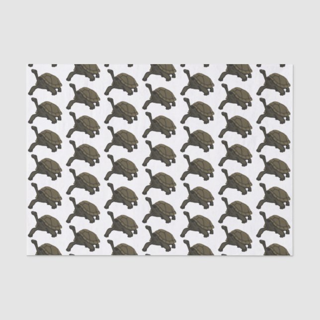 Papier Mousseline Illustration de tortue terrestre des Galapagos (Recto)