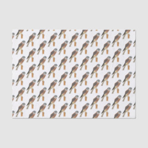 Papier Mousseline Illustration d'oiseau américain Kestrel