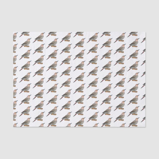 Papier Mousseline Illustration d'oiseau de scintillement du Nord (Recto)