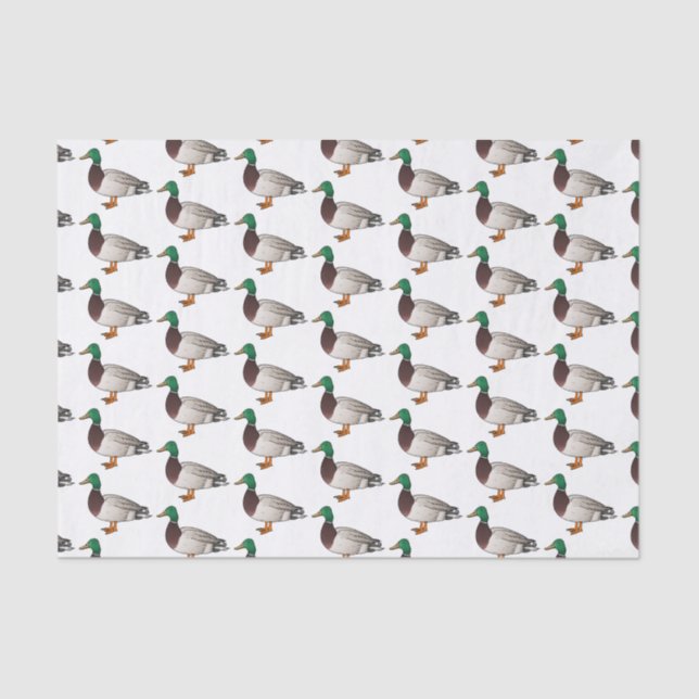 Papier Mousseline Illustration du canard de Majard (Recto)