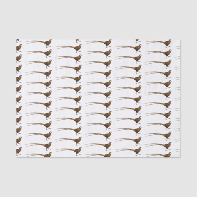 Papier Mousseline Illustration du faisan de Reeves (Recto)