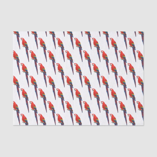 Papier Mousseline Illustration du perroquet de macaw Scarlet (Recto)