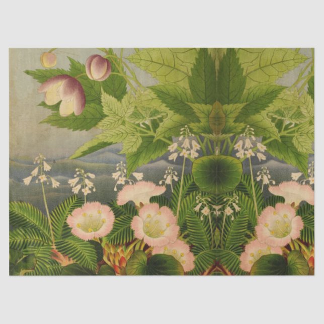 Papier Mousseline Illustration vintage du livre de fleurs botaniques (Recto)