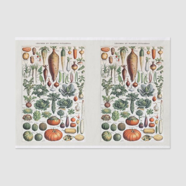 Papier Mousseline Illustrations Millot, Légumes de jardin, Découpage (Recto)