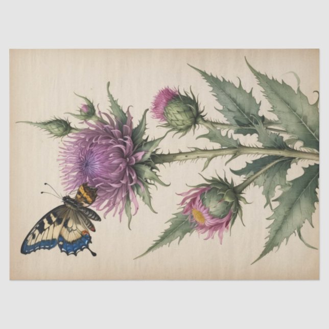 Papier Mousseline Impression Chardon et Papillon (Recto)