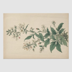 Papier Mousseline Impression de fleurs sauvages vintage