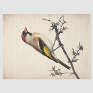 Papier Mousseline Impression d'oiseaux de décolpage d'aquarelle euro