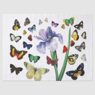 Papier Mousseline IRIS PARMI LES BÂTIMENTS COLORÉS Floral Blanc