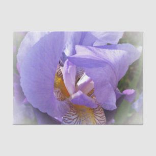 Papier Mousseline iris pourpre