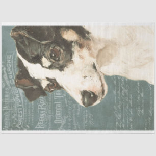 Papier Mousseline Jack Russell Terrier Chien avec Ephemera Vintage
