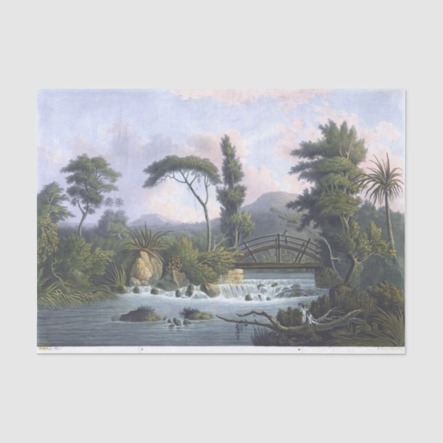 Papier Mousseline Jamaïque Cabarita River Westmoreland (Recto)