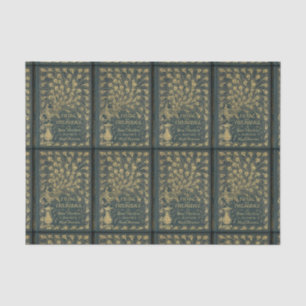 Papier Mousseline Jane Austen Fierté et préjugés Couverture du livre