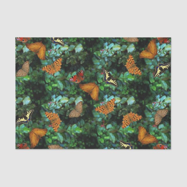 Papier Mousseline Jardin de papillon (Recto)