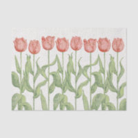 Jardin de tulipe