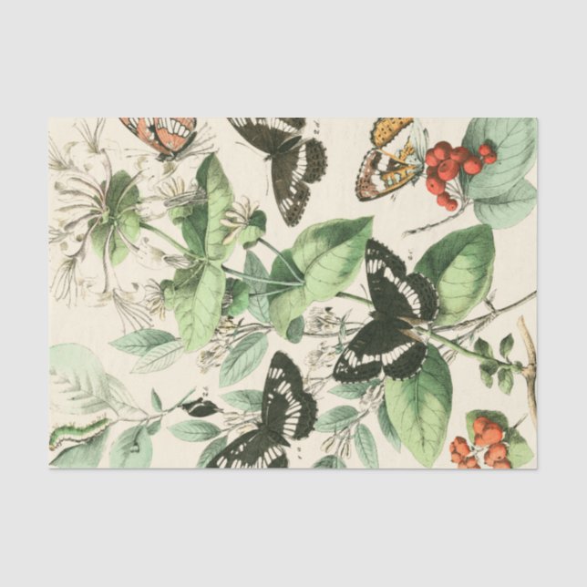 Papier Mousseline Jardin des papillons et des fleurs (Recto)