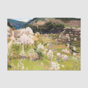 Papier Mousseline Jardin en terrasse à Majorque (par Santiago Rusiño